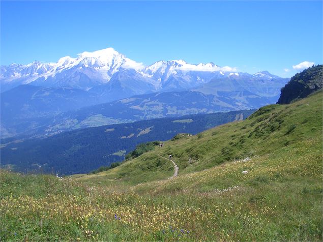 randonnée en montagne - Office de Tourisme de Combloux