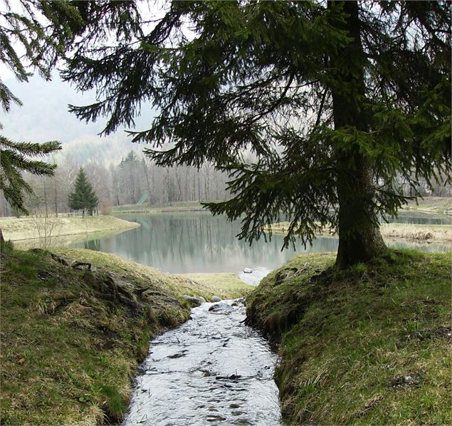 Plan d'eau Marcôt - © FSPPMA