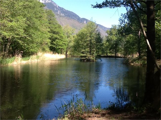 Les lacs de la Bessée - © AAPPMA de La Chambre