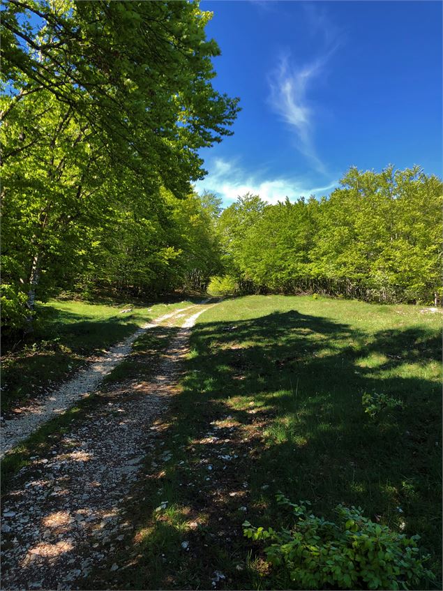 Sentier de la Boucle d'Oreille - © Maxime Ballet