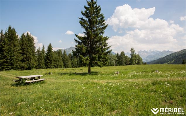 Aire de pique-nique du plan de la Croix - Méribel Tourisme