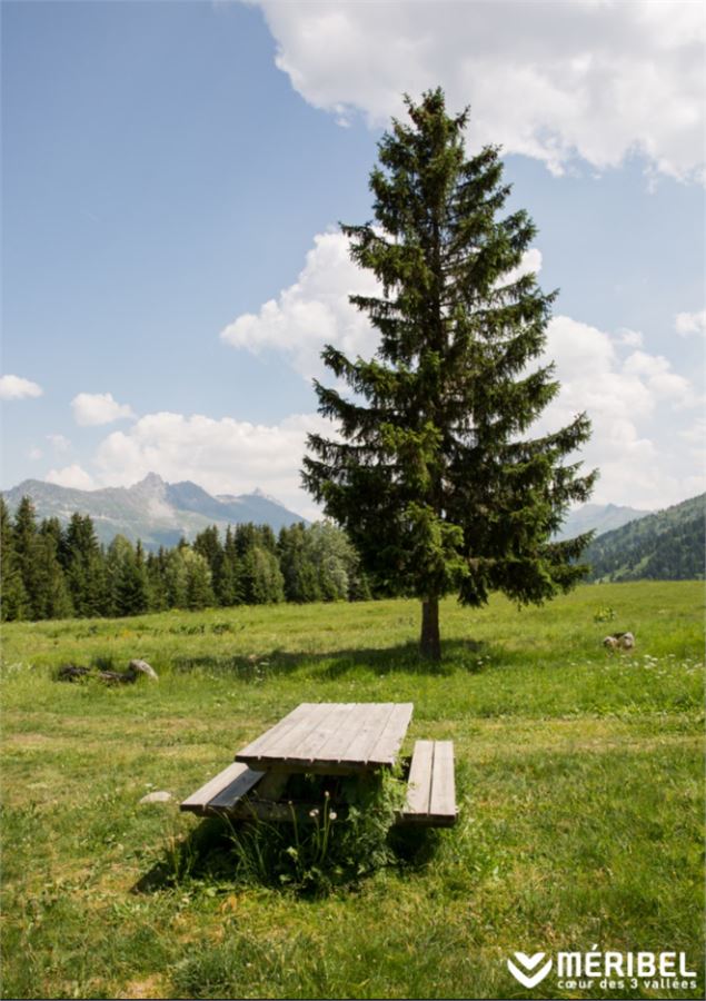 Aire de pique-nique du Chenay - Méribel Tourisme