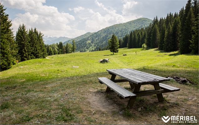 Aire de pique-nique du Col de Creux Loup - Méribel Tourisme