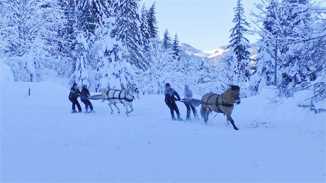 Aravis Équitation