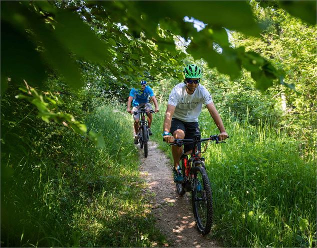 Descente vtt rouge - T.Nalet