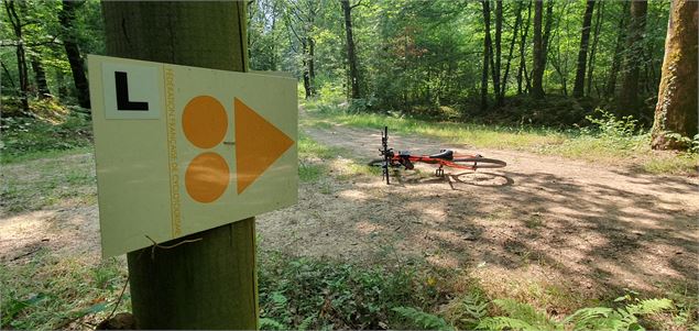 Liaison VTT Grange du Pin - scalland