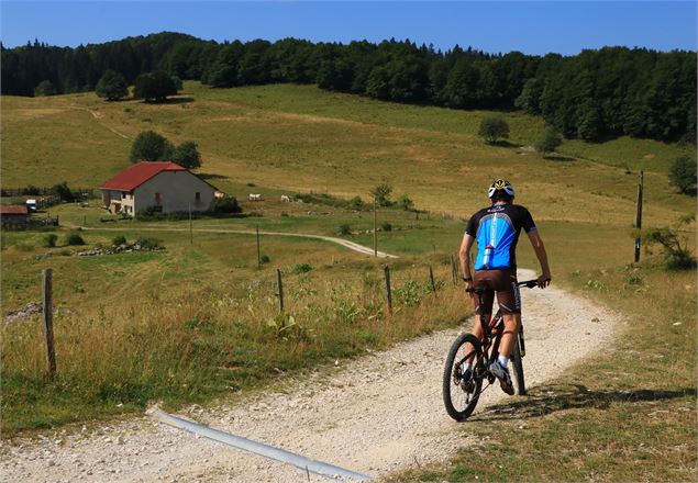 Circuit VTT 12 les Plans d'Hotonnes Plateau de Retord - Bugey Sud - ©Emmanuelle Bebi