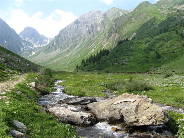 Vallon de foran la vallée de la Plagne - Marie Louise Plassiard