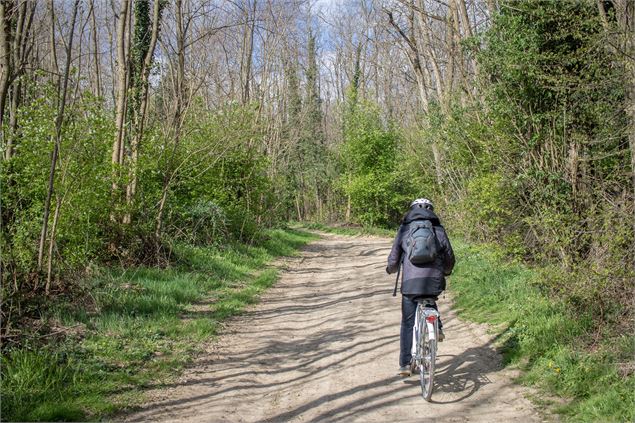 Circuit vélo Dombes - Michael Zeilfelder/Dombes Tourisme