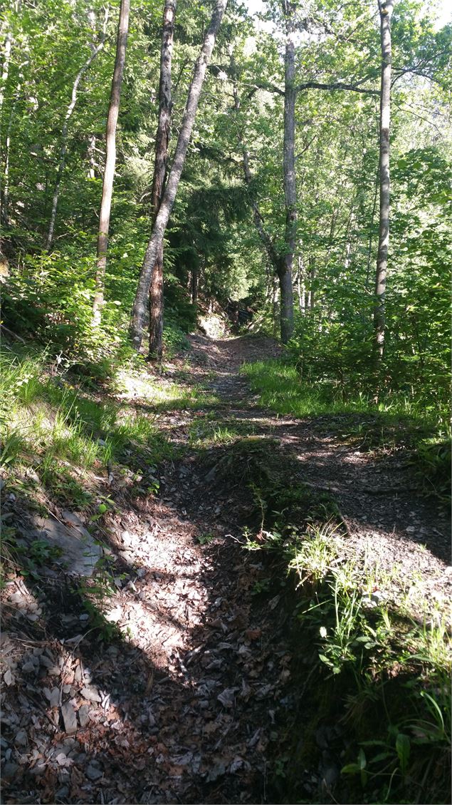 Sentier de st Marcel la vallée de la Plagne - OTGP