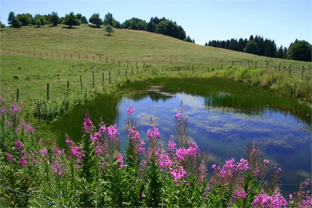 Sentier de la Sauge - Syndicat Mixte du Saleve