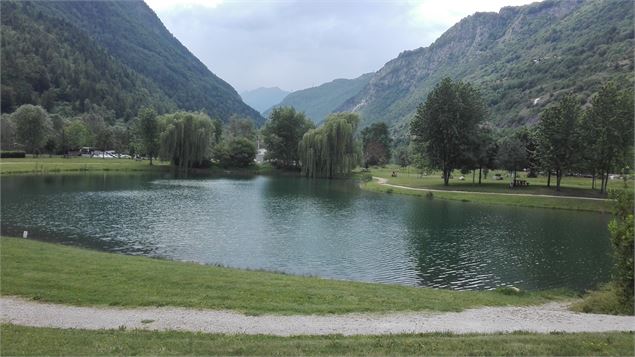 Sentier botanique et écologique de Centron vallée de la Plagne - Delphine Counil