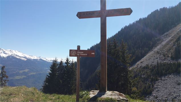 Sentier Le Chapieu de Tessens vallée de la Plagne - Delphine Counil