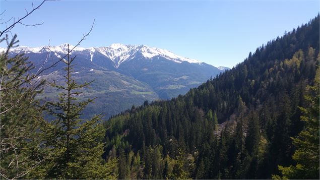 Sentier du Hameau de La Pesée vallée de la Plagne - Delphine Counil