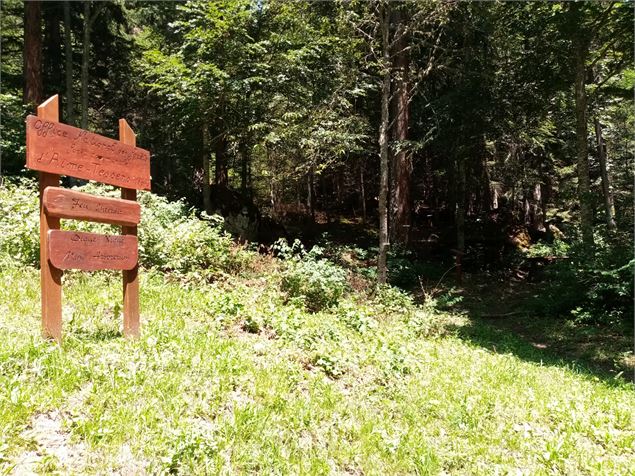 Arboretum de Tessens - OT La Plagne Vallée
