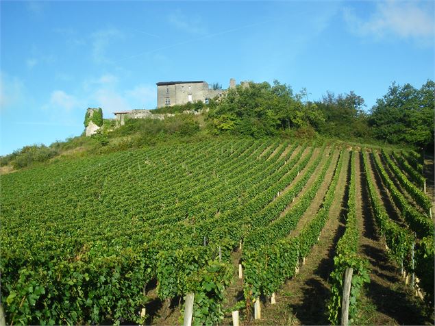 Randonnée la Dame Blanche - Rando Plaisir