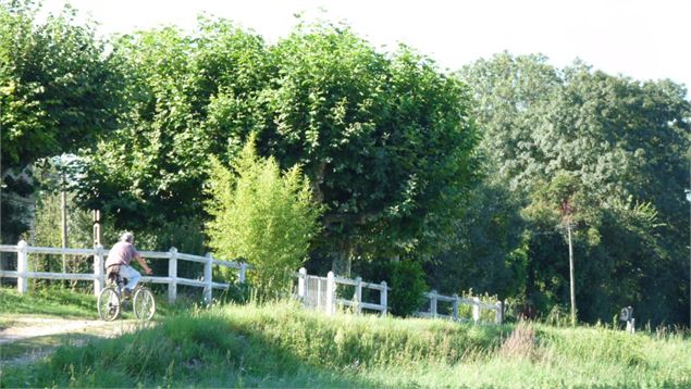 Vélo en Val de Saône : Liaison Genouilleux - St Etienne-sur-Chalaronne