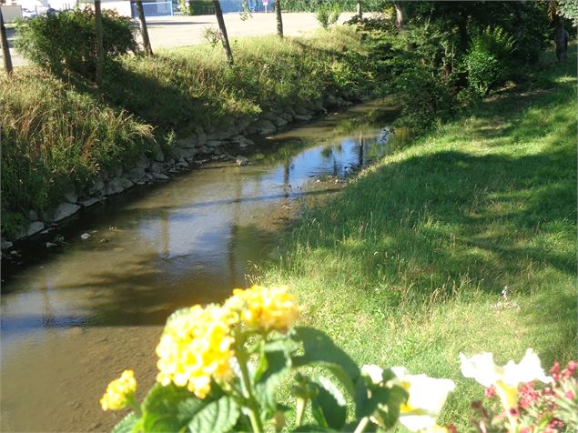 Bords du renom - OT Vonnas Pont de Veyle