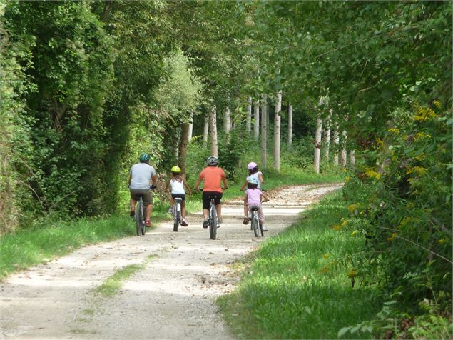 VTT dans la peupleraie - CCCh