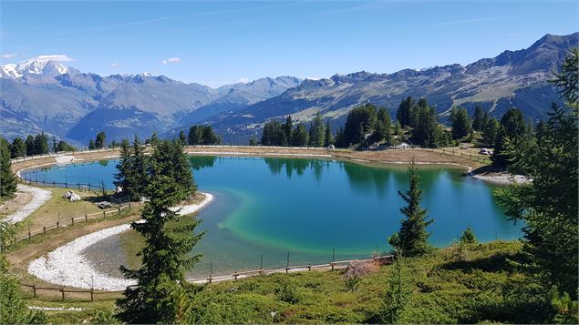 Panorama sur le Mont Blanc - OTMLC