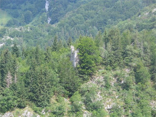 Le château d'Entremont - Entremont le Vieux - PNRC