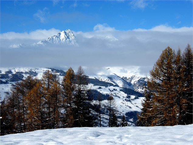 Massif du Mont Blanc - M.Suret OT Peisey-Vallandry