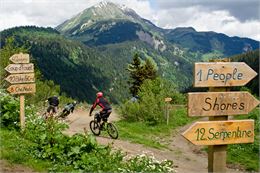 Bike Park Châtel - Sylvain Cochard