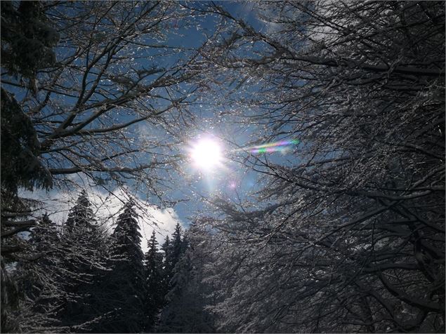 Sentier raquettes - OT Porte de Maurienne