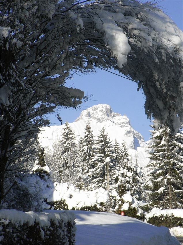 Vue de l'Alpage Planset - Office de Tourisme