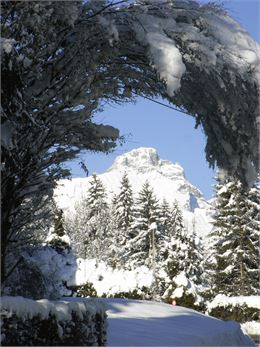 Vue de l'Alpage Planset - Office de Tourisme