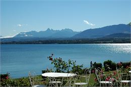 Panorama depuis la plage en été - J L Delachaussée