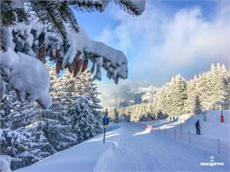 Vue sur la piste - Domaine Skiable Megève