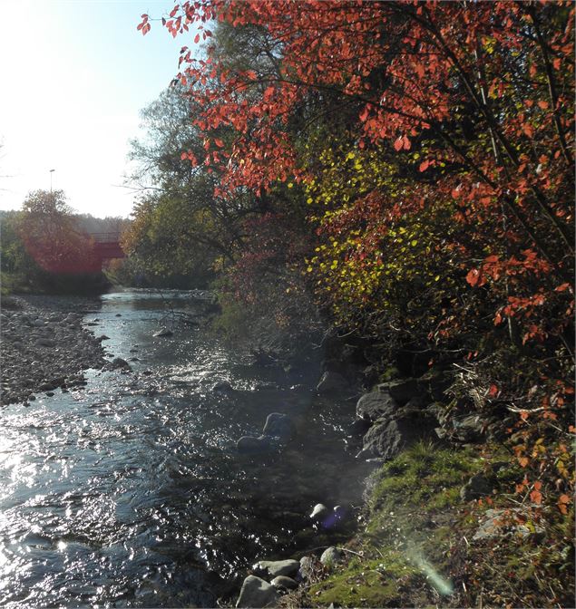 Rivière la Fillière - D.DoValle Martins