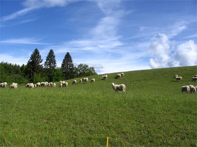 Plateau des bornes - B. Cheron