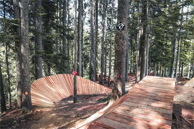 Descente de La Ferriaz - Piste VTT Descente N°24