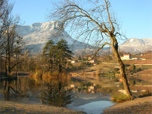 Le Granier depuis le lac St André - K.Mandray