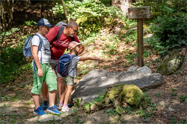 Boucle de la pierre à cupules - Feissons sur Salins - Elisabeth Gayard
