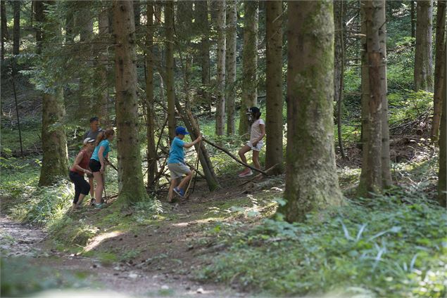 Forêt de St-Maurice-de-Rotherens St-Genix-les-Villages - A. Cottarel