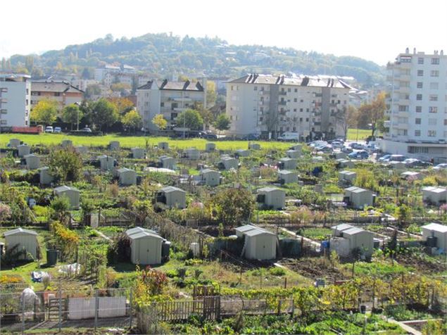 Jardins familiaux de Romagny