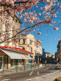 Parc Olympe de Gouges_Annemasse - Anastasiia Modylevskaia