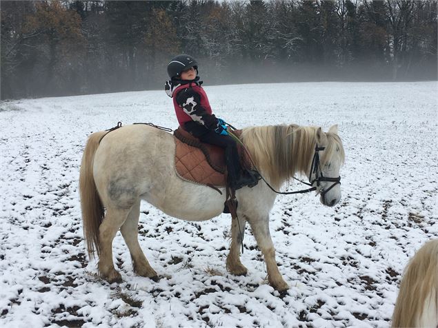 Poney - Centre équestre de l’écurie de Massoran