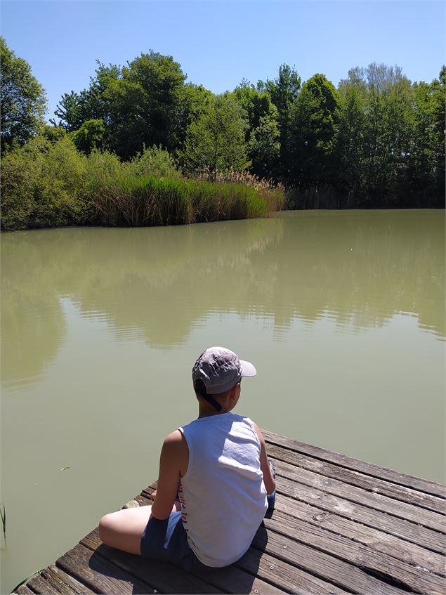 Etang de Colovrex - Office de Tourisme du Pays de Gex