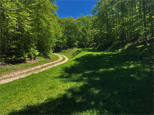 Chemin en direction de la Cotière - © Maxime Ballet