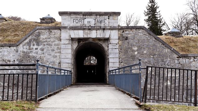 Vue de l'entrée du fort - D. Coisplet