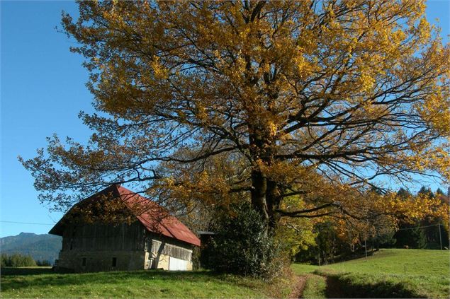 Col du Vorger - D. Coisplet