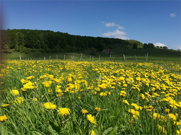 Le Tumet - ©OT Terre Valserine