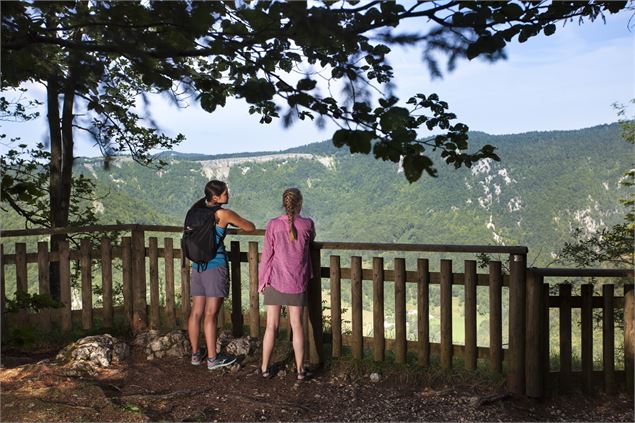 Vue sur la Roche Fauconière - @Daniel Gillet