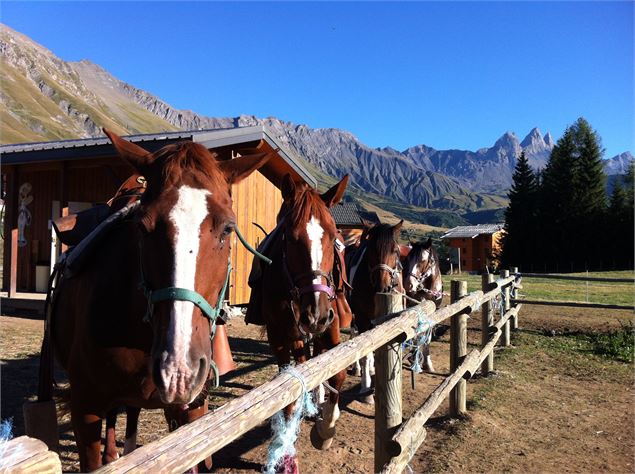 Centre équestre au col du Mollard - OTICoeurdemaurienne