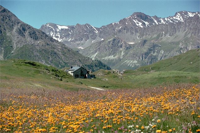 Col du Petit Mont-Cenis - Florence De Grolée