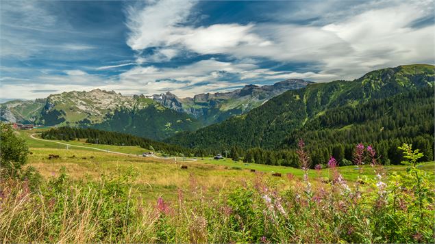 Samoens 1600 - Gilles Piel